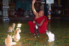 Myanmar, Inle-See, Nga Phe Kyaung Kloster, Kloster der springenden Katzen