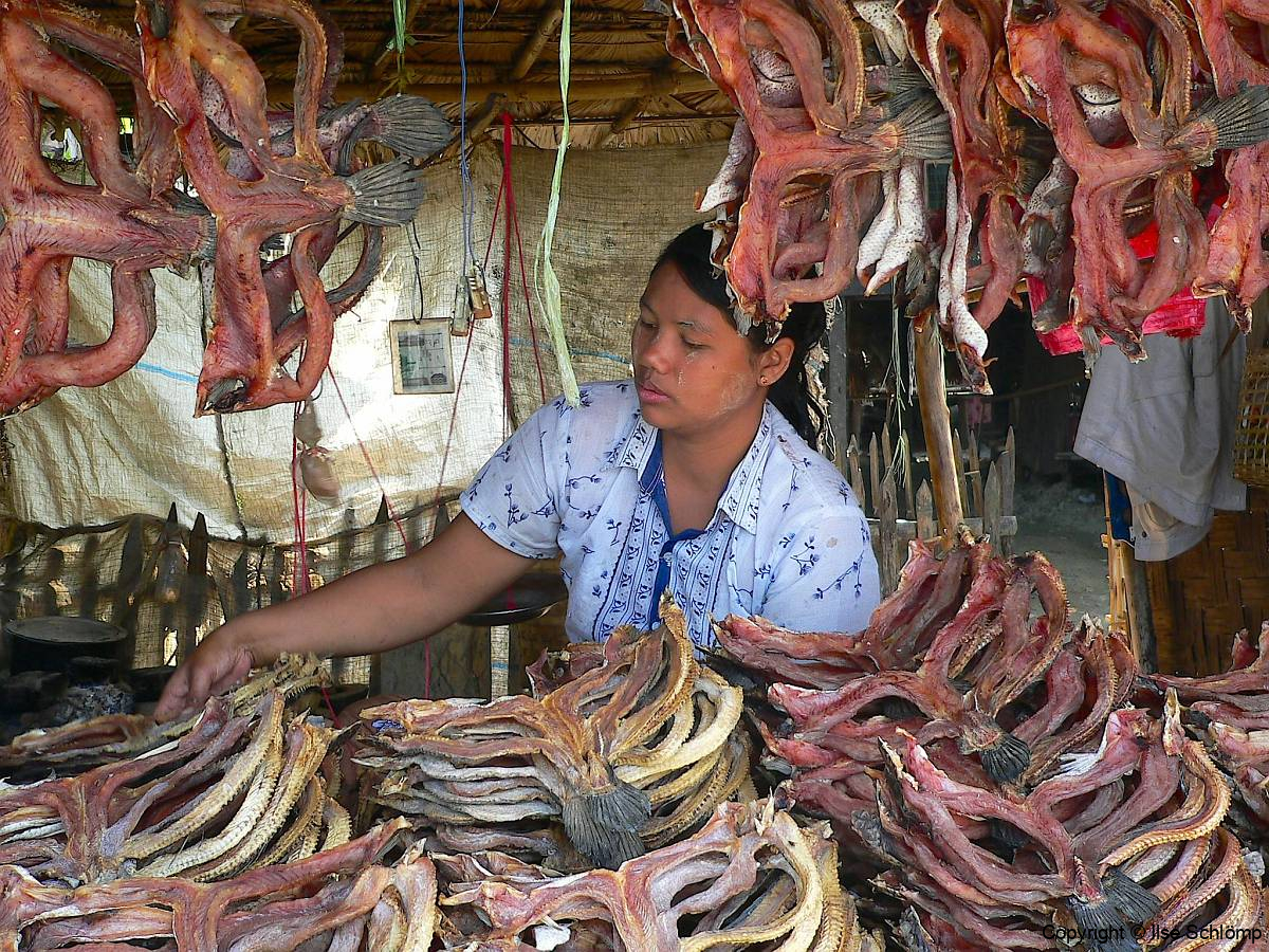 Myanmar, Unterwegs auf dem Weg nach Bago, Trockenfisch-Verkaufsstand