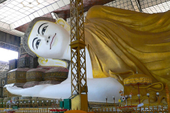 Myanmar, Bago, Shwe Thalyaung Pagode, Liegender Buddha von Bago