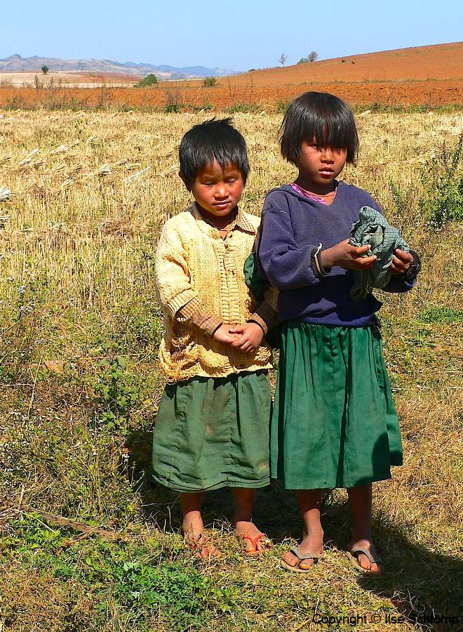 Myanmar, Pindaya, Getreideernte
