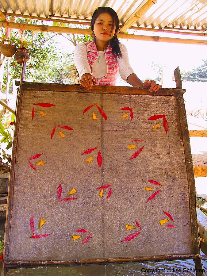 Myanmar, Pindaya, Traditionelle Papierherstellung