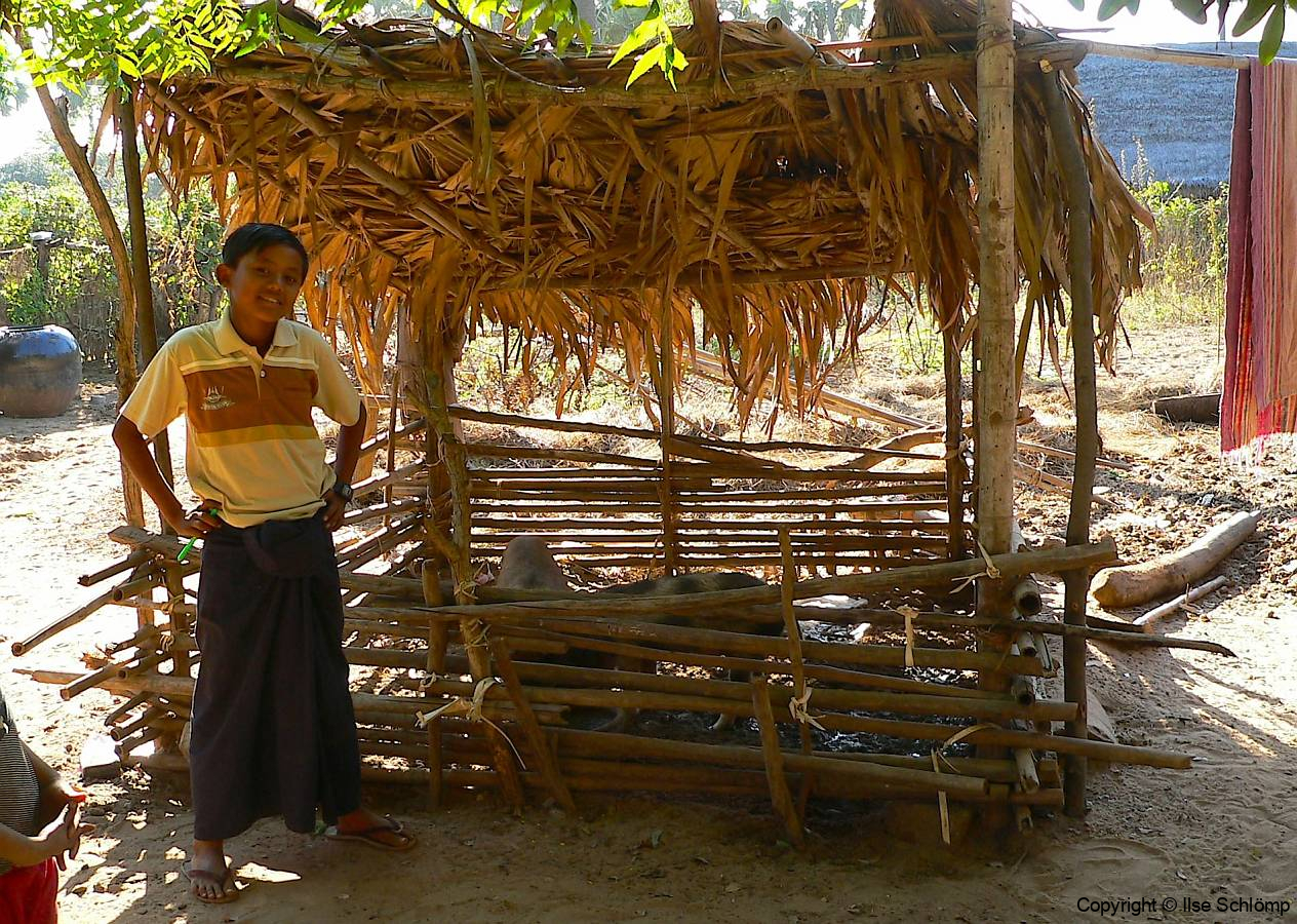 Myanmar, Besuch eines Palmzuckerbetriebes