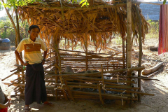 Myanmar, Besuch eines Palmzuckerbetriebes