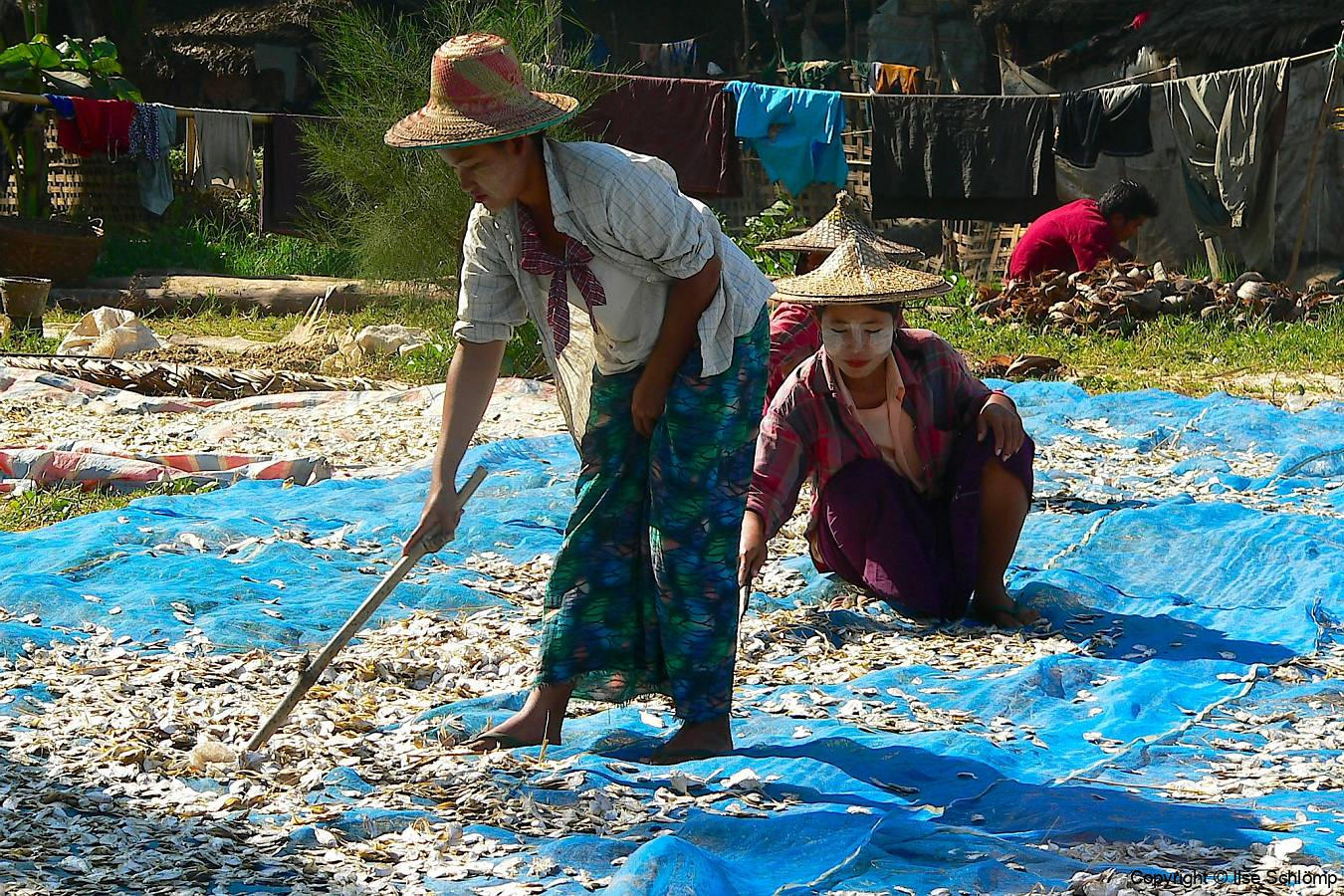 Myanmar, Ngapali Beach, Fische liegen zum Trocknen aus