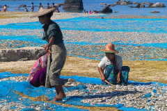 Myanmar, Ngapali Beach, Fische liegen am Strand zum Trocknen aus