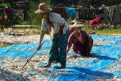 Myanmar, Ngapali Beach, Fische liegen zum Trocknen aus