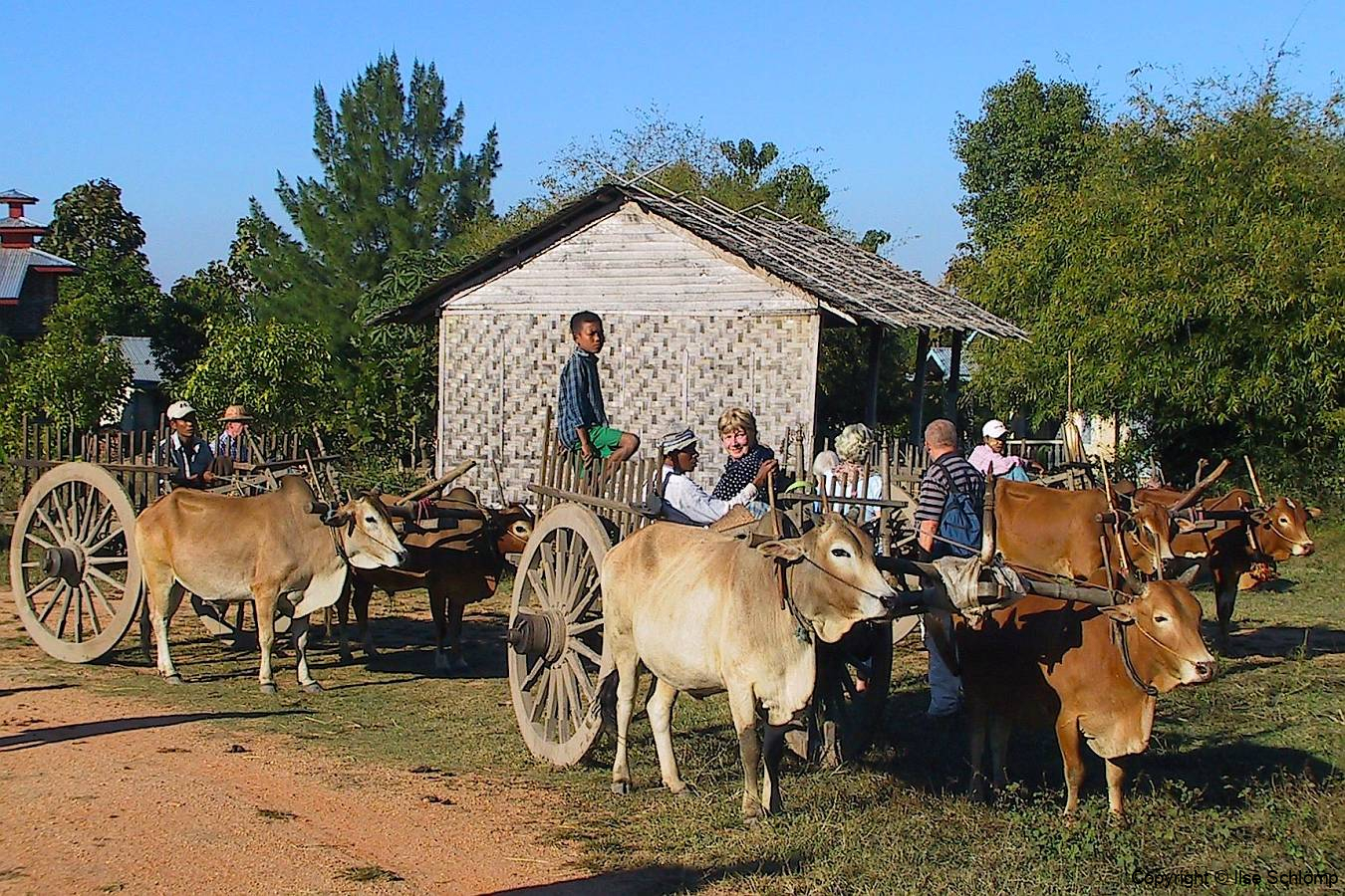 Myanmar, Wir fahren mit dem Ochsenkarren nach Sri Ksetra