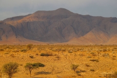 Namibia, Namib Naukluft Nationalpark, Agama River Camp