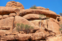 Namibia-Damaraland-Living-Museum-Damara