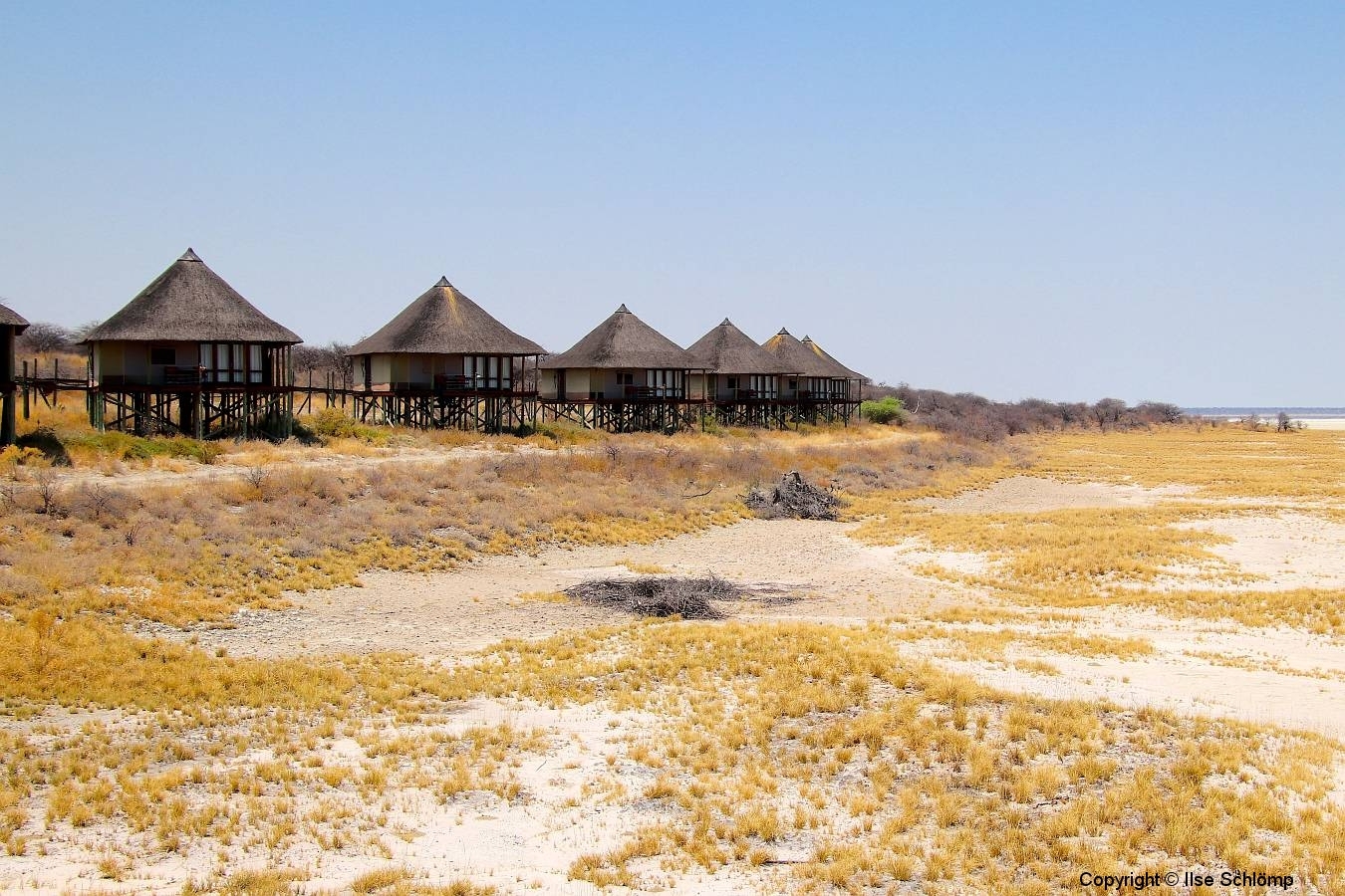 Namibia, Etosha Nationalpark, Salzpfanne, Onkoshi Camp