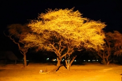 Namibia, Etosha Nationalpark, Abendstimmung