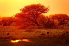 Namibia, Etosha Nationalpark, Sonnenuntergang