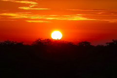 Namibia-Sonnenaufgang-im-Etosha-NP