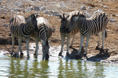 Namibia-Etosha-NP