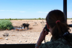 Namibia-Etosha-NP