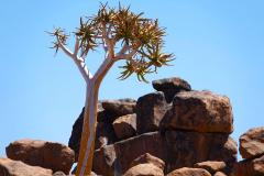 Namibia, Keetmanshoop, Spielplatz der Giganten