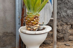 Namibia, Kolmannskuppe