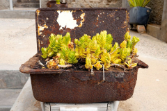 Namibia, Kolmannskuppe