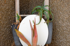 Namibia, Kolmannskuppe