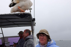 Namibia-Walvis-Bay-Sektfrühstück-an-Bord