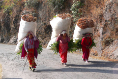 Nepal, Begegnungen unterwegs nach Bungamati, Lastenträgerinnen