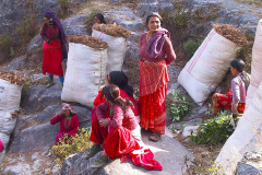 Nepal, Begegnungen unterwegs nach Bungamati, Lastenträgerinnen legen eine Pause ein