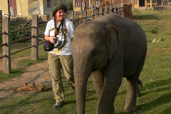 Nepal, Chitwan-Nationalpark, Elefantenzuchtstation
