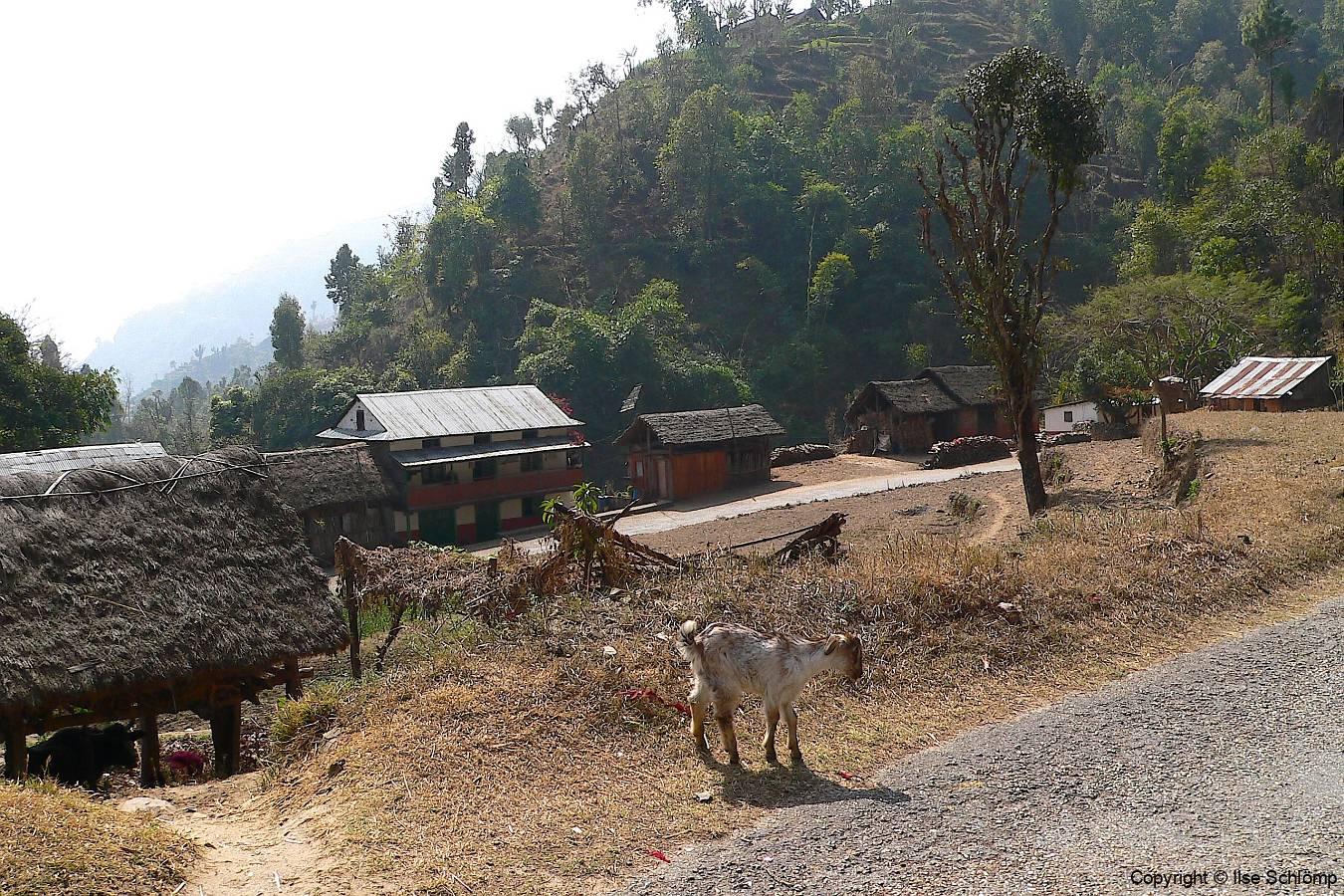 Nepal, Unterwegs nach Daman