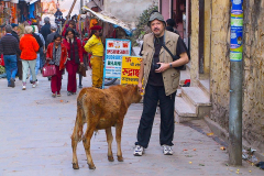 Nepal, Pashupatinath
