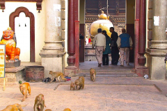 Nepal, Pashupatinath-Tempel
