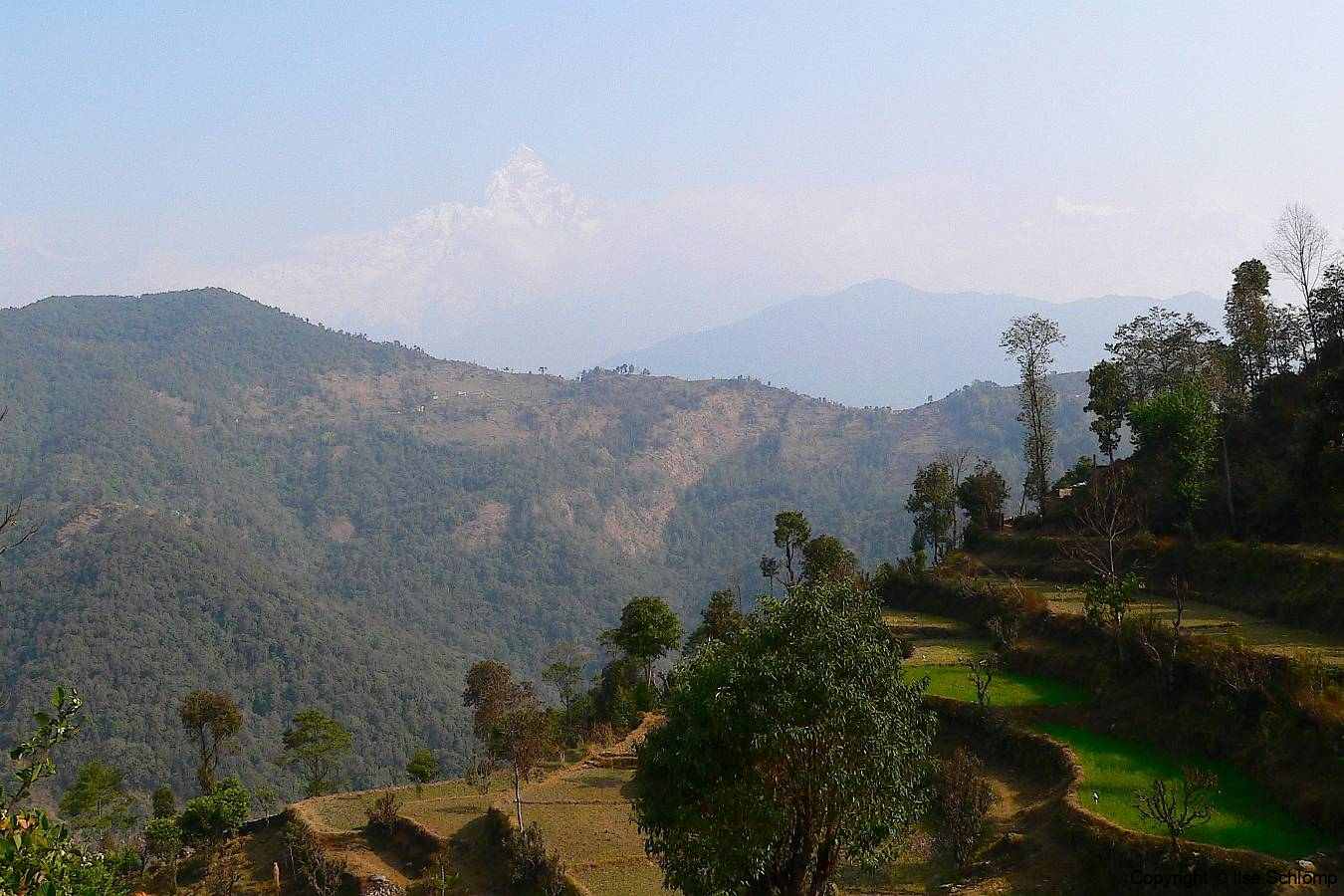 Nepal, Pokhara, Terrassenfelder vor dem Maccapuchare, Fishtail Mountain