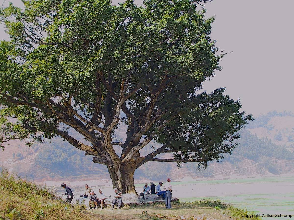 Nepal, Unterwegs nach Tansen, Picknick unter einem Baum mit Blick auf die Terrassenfelder