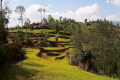 Nepal, Trekking Umgebung von Balthali