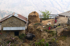 Nepal, Trekking Umgebung von Nagarkot