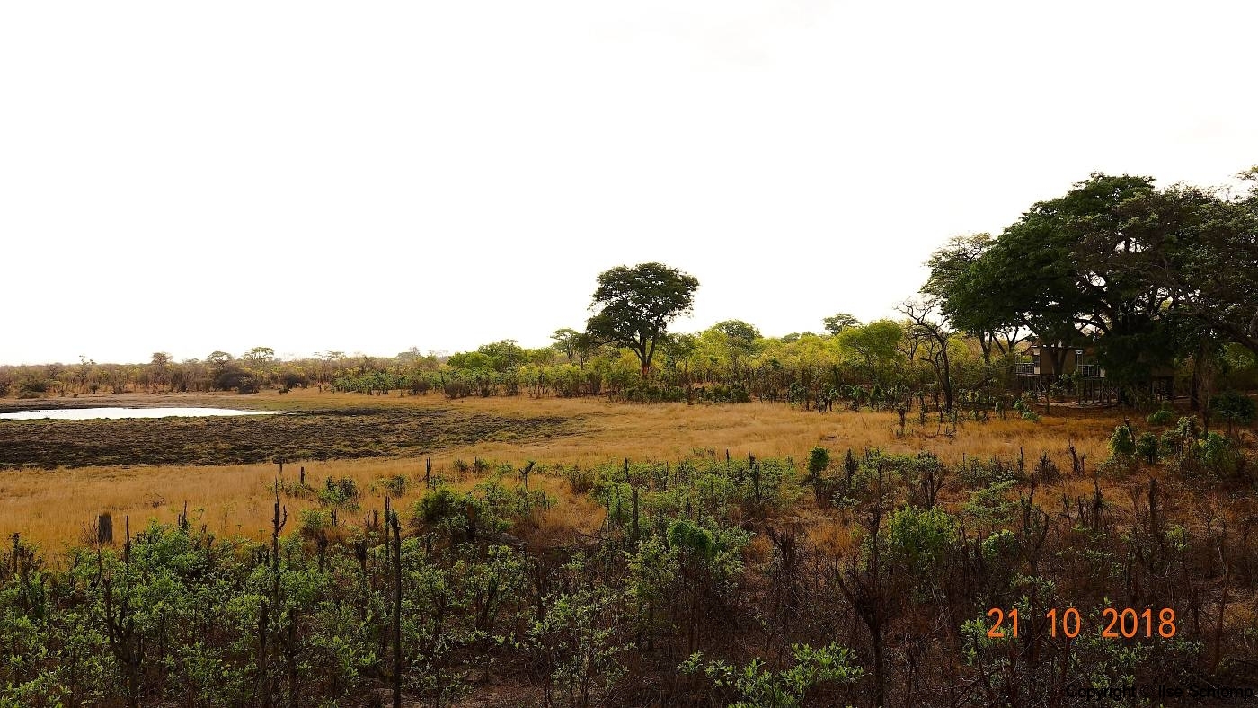 Simbabwe, Hwange Nationalpark, Elephants Eye