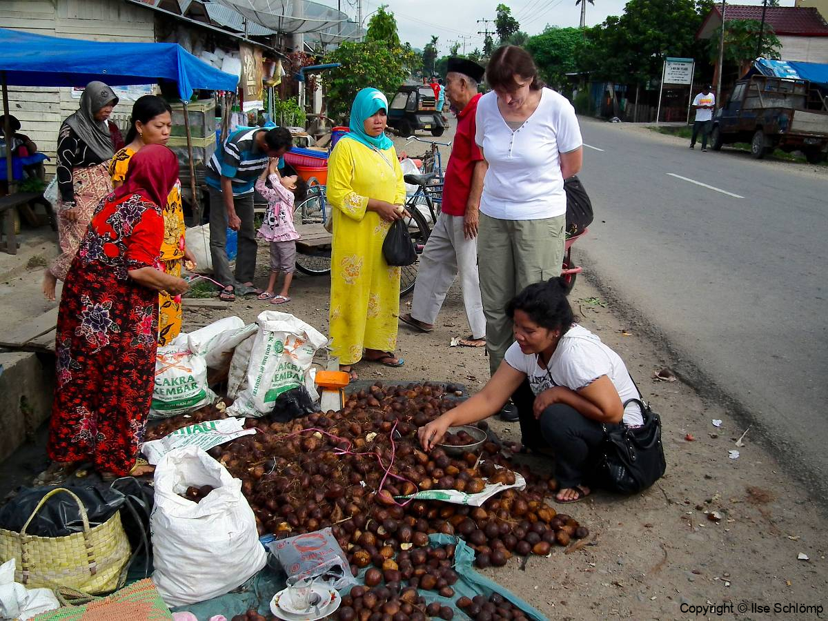Sumatra, Straßenmarkt, Wir kaufen Schlangenhautfrüchte