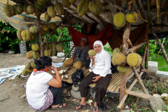 Sumatra, Umgebung Bukittinggi, Stopp an einem Durianstand