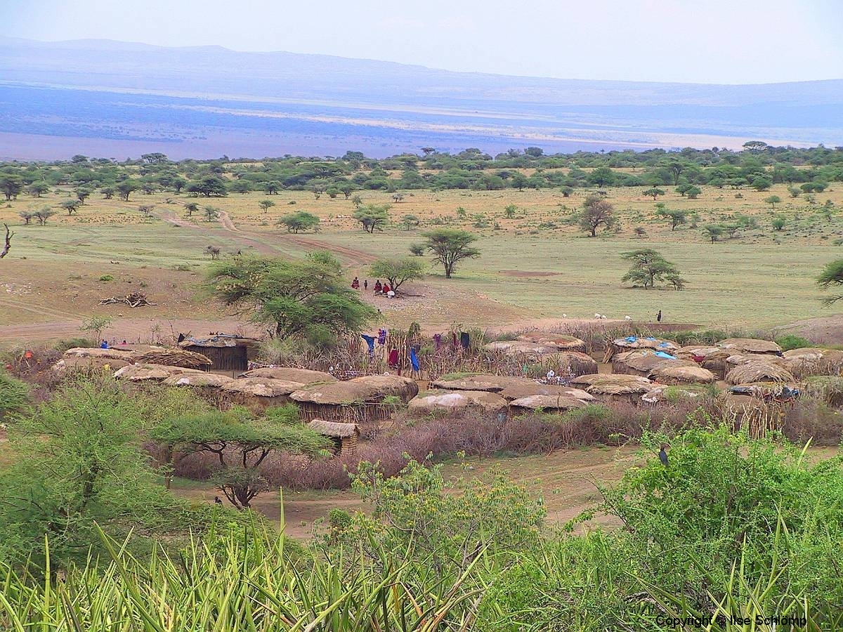 Tansania, Serengeti, Savannenhochland, Massaidorf