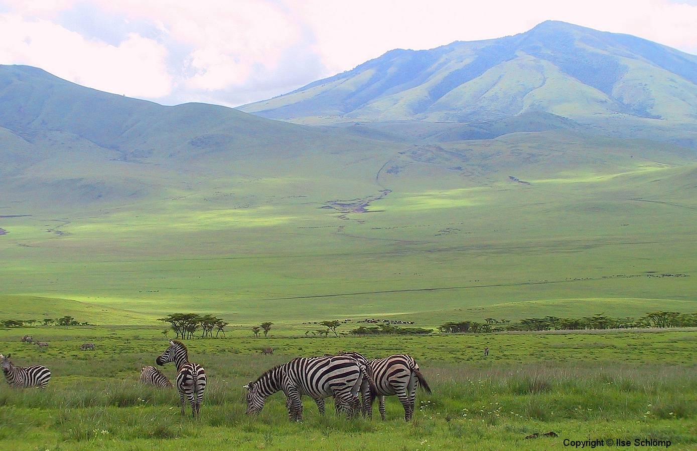 Tansania, Serengeti, Savannenhochland