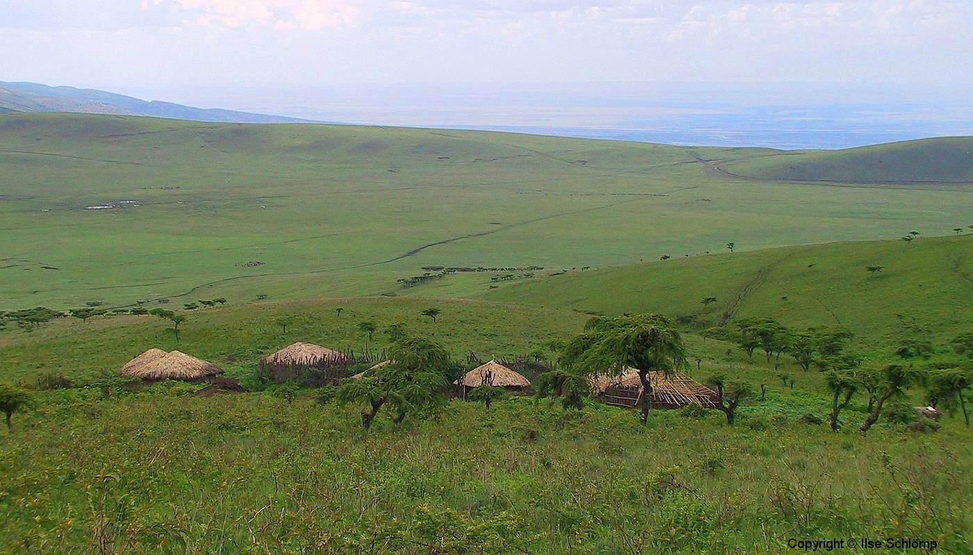 Tansania, Serengeti, Savannenhochland