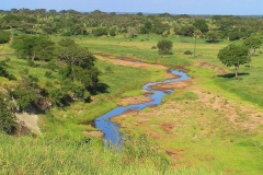 Tansania, Tarangire Nationalpark