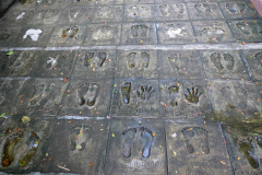 Thailand-Bangkok-Drachentempel-Wat-Samphran