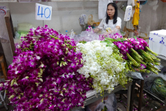 Thailand-Bangkok-Frischblumenmarkt-Pak-Khlong-Talat