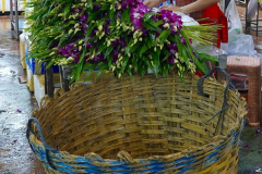 Thailand-Bangkok-Frischblumenmarkt-Pak-Khlong-Talat