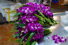Thailand-Bangkok-Frischblumenmarkt-Pak-Khlong-Talat