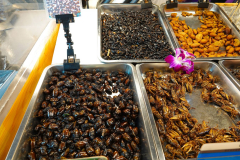 Thailand-Bangkok-Sook-Siam-frittierte-Insekten