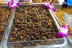 Thailand-Bangkok-Sook-Siam-frittierte-Insekten