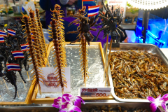 Thailand-Bangkok-Sook-Siam-frittierte-Tausendfüßler-und-Spinnen