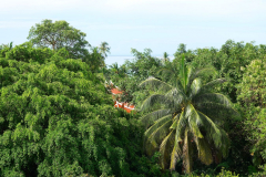 Thailand-Koh-Chang-Santhiya-Tree-Resort-Blick-zum-Meer