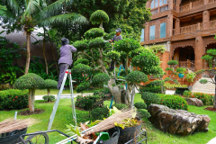 Thailand-Koh-Chang-Santhiya-Tree-Resort-Formschnitt